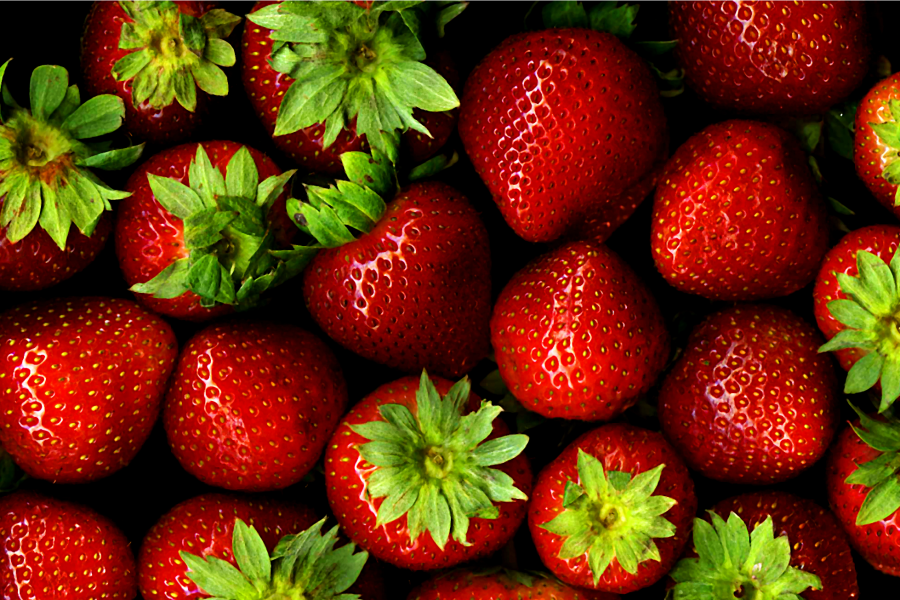 Tyrone FFA to hold fresh strawberry sale