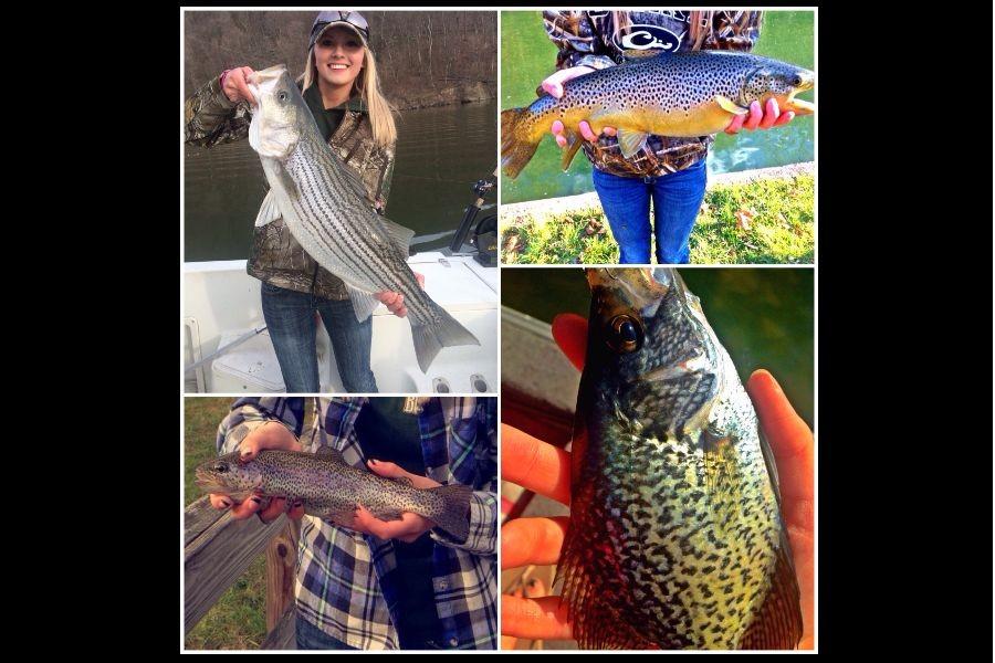 Featured Fisherman: Junior Carly Crofcheck