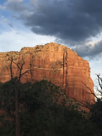 cathedral rock sedona