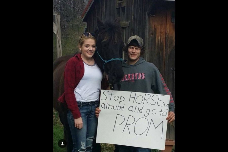 TAHS Promposal Contest: Prom...Yay or Neigh??