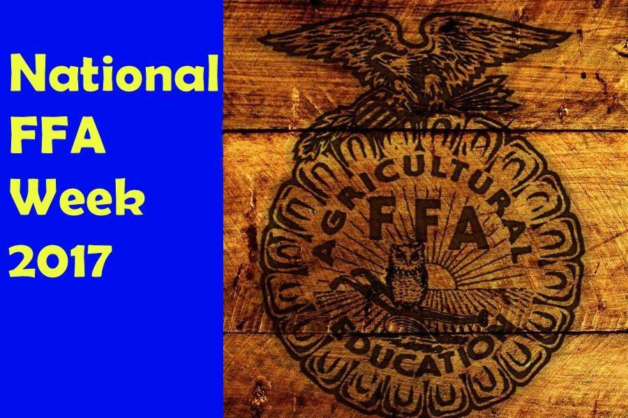 Celebrating FFA Through Greenhand Games and Agricultural Apparel