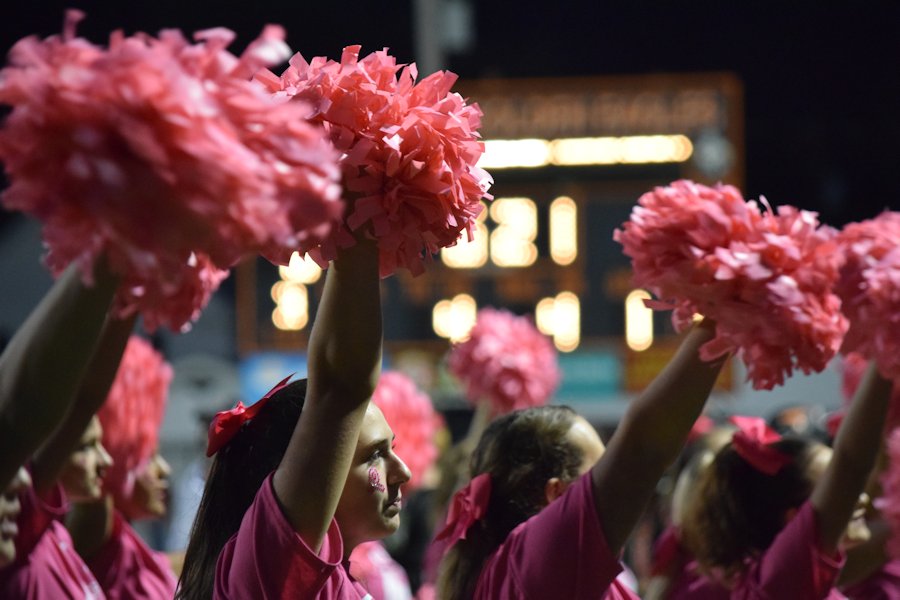 Tyrone Cheerleaders at the 2017 pink out game.