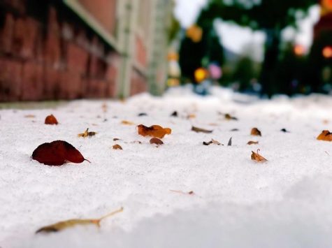 Snow-Fall