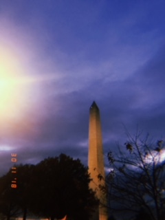 The Washington Monument 