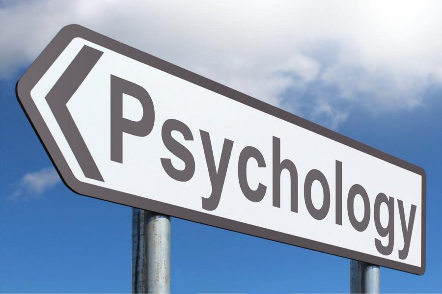 DE Psychology: A Great Introduction to the Field
