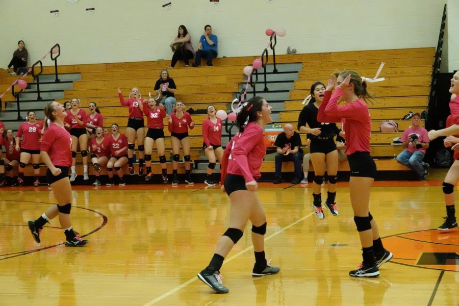 The team celebrating a point.