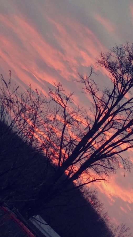 a beautiful sky picture taken by Xena Sieminski