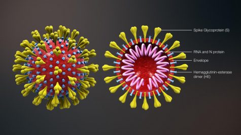 This is the novel coronavirus spoken of across the world.