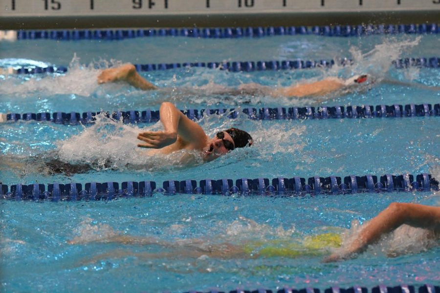 Bellwood Junior Hunter Gregg swimming the 200 free