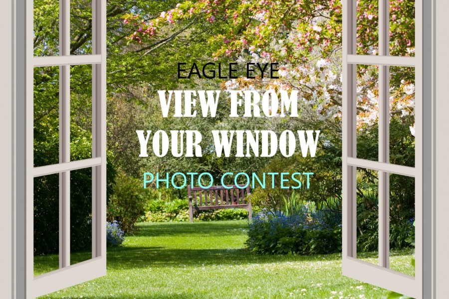 Photo of the Week Contest: A View From Your Window