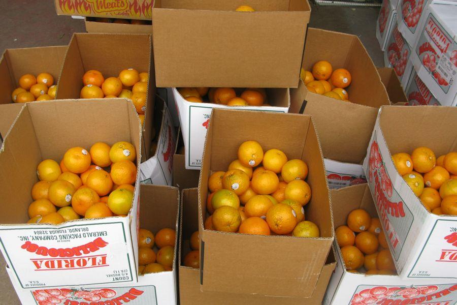 Tyrone FFA Kicks Off Annual Fruit Sale