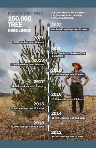 Ranger standing next to tree with the numbers of how many trees were planted each year.