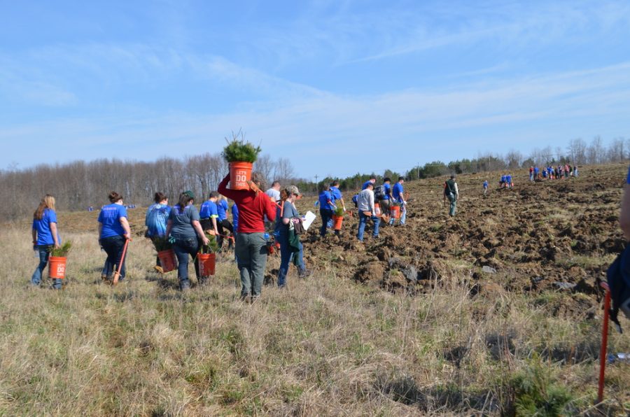 Students from Tyrone National Honor Society will be working with volunteers to plant trees in honor of those who died on Flight 93.