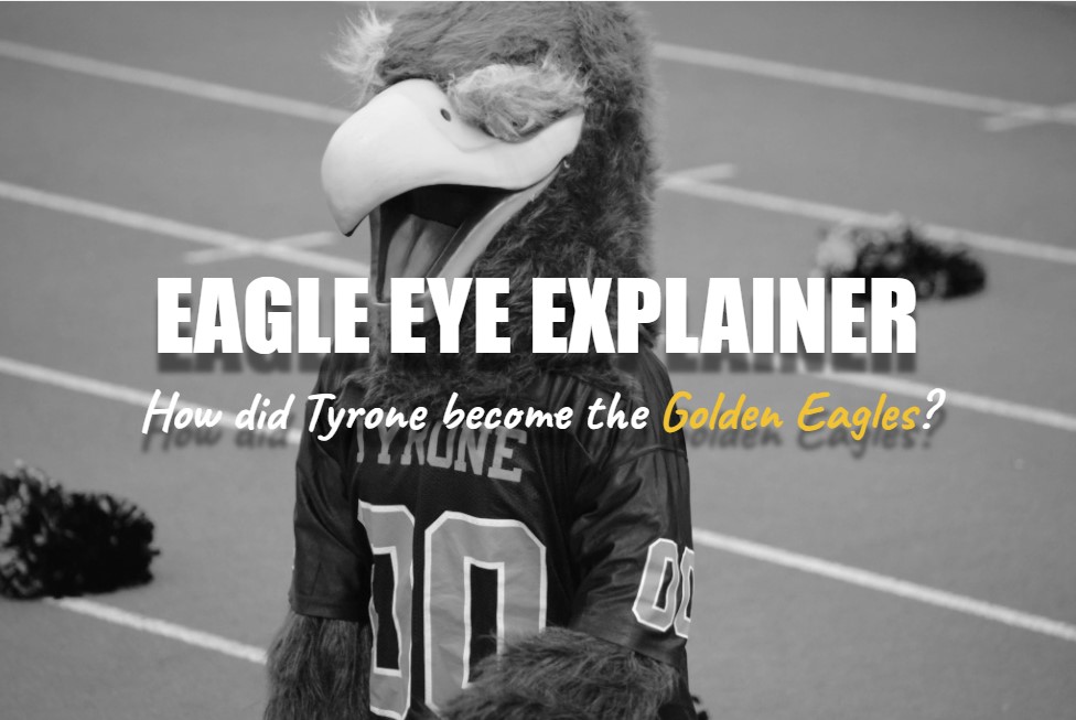 Eagle Eye Jersey