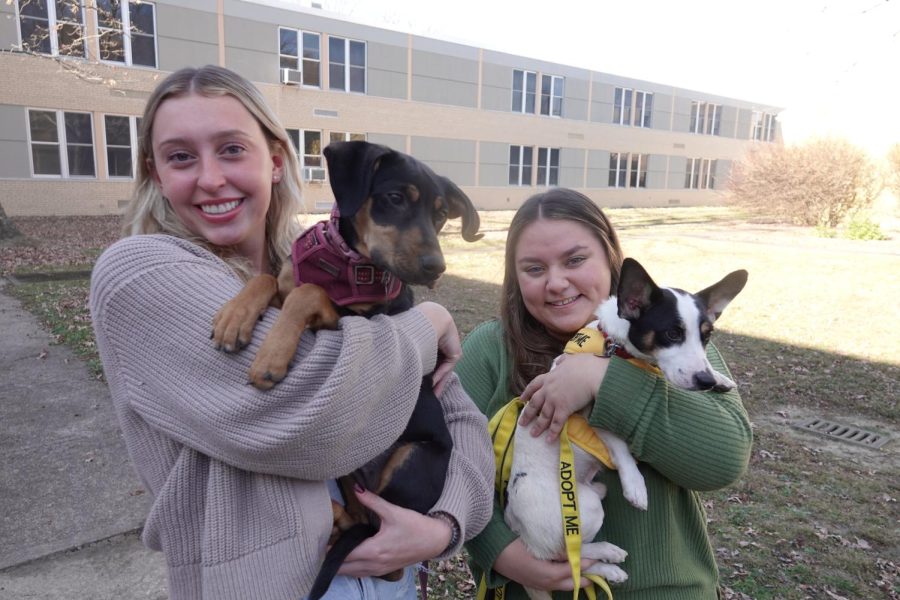 Princess Avalyn Moore and Queen MacKenize Hyde holding the Human Society dogs.