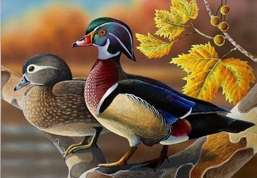 The juror for this year’s art show is Tyrone Class of 2002 graduate, Michael Kensinger. This is his 2021 PA Duck Stamp winning image. 