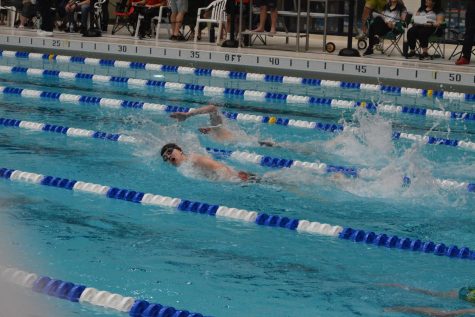 Tyrone Swimmers Have Successful District Meet