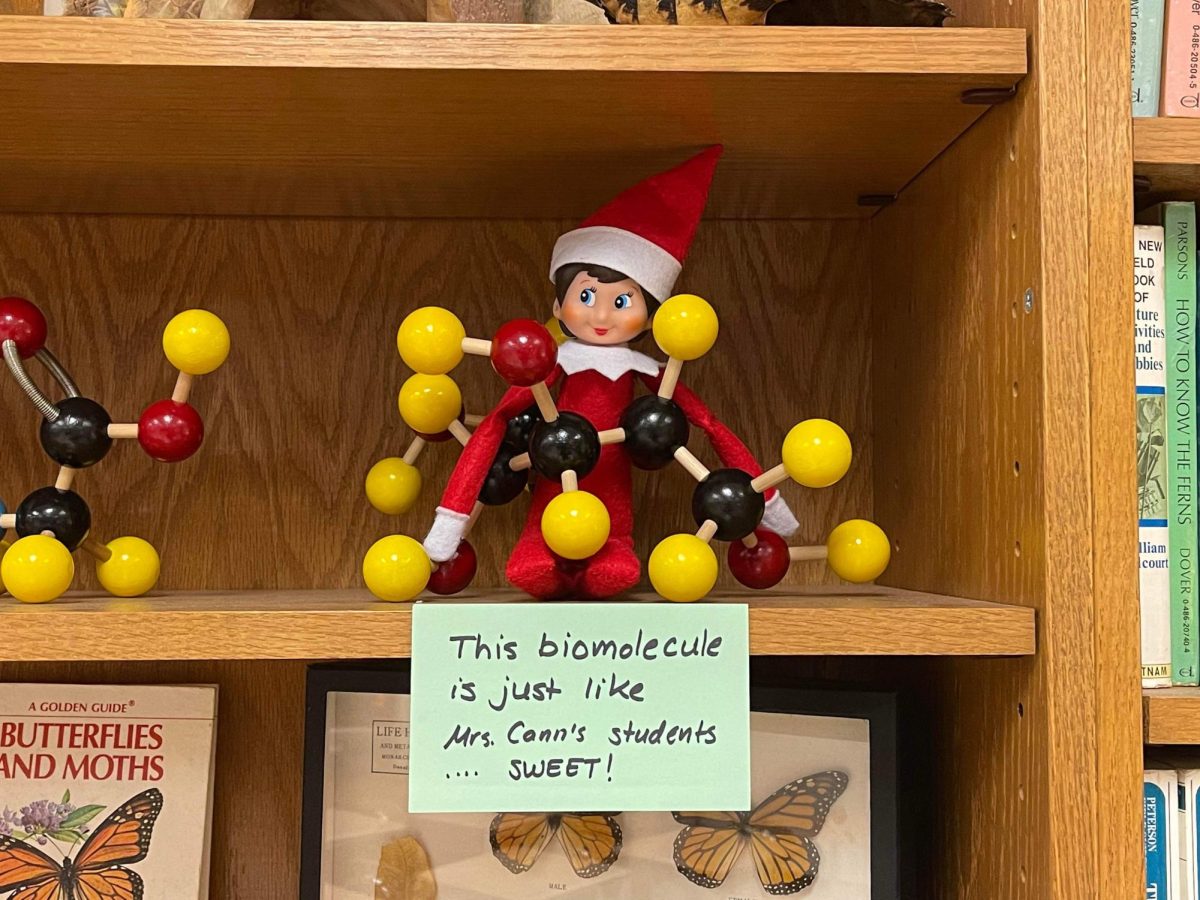 Roz the Science Elf Makes Holiday Appearance at TAHS