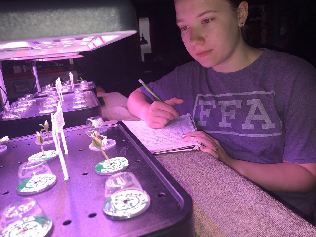 Paige+Hoy+%E2%80%93+Star+AgriScience+for+her+projects+which+vary+from+Osmosis+simulation+in+Eggs+to+Seed+Germination+Rates.