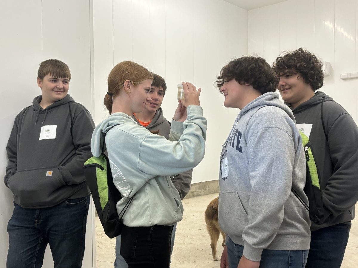 Sam Golden, Coltyn Frye, Jayden Albright, Evin Sollener, and Jason Brownson look at the early stage of a cow. 