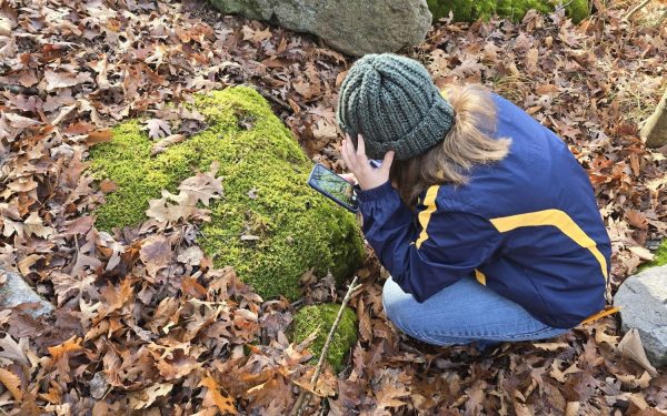 Tyrone Area FFA Brings Environmental Science to Life with Bioblitz