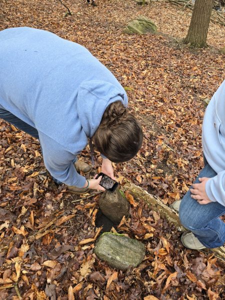 Ag Students Dive Into Stream Health During Bioblitz Event