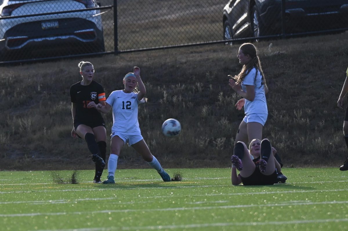 Lady Eagles Fall to Central