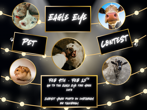 Enter the Eagle Eye Valentine's Day Pet Photo Contest!