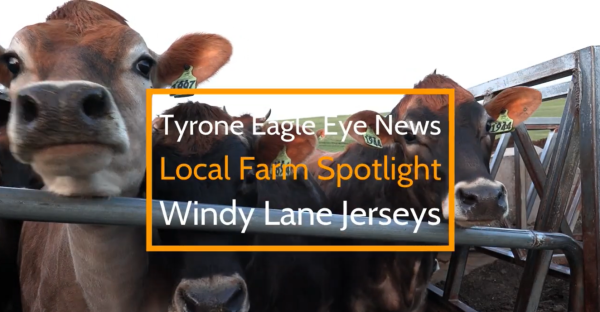 Windy Lane Jerseys Farm in Warriors Mark raises dairy and beef cows as well as several feed crops. It is run by Ryan Clark, a TAHS Class of 2003 grad, and his family.